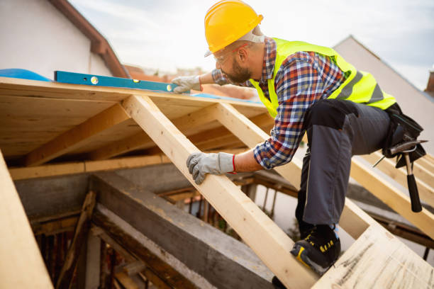 Best Roof Gutter Cleaning  in Cedar Grove, WI