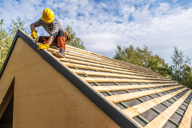Best Shingle Roofing Installation  in Cedar Grove, WI