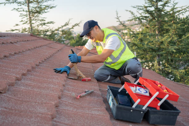 Professional Roofing Contractor in Cedar Grove, WI